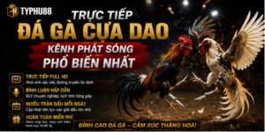 Trực Tiếp Đá Gà Cựa Dao - Kênh Phát Sóng Phổ Biến Nhất 