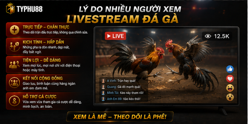 Lý do nhiều người xem livestream đá gà Lý do nhiều người xem livestream đá gà