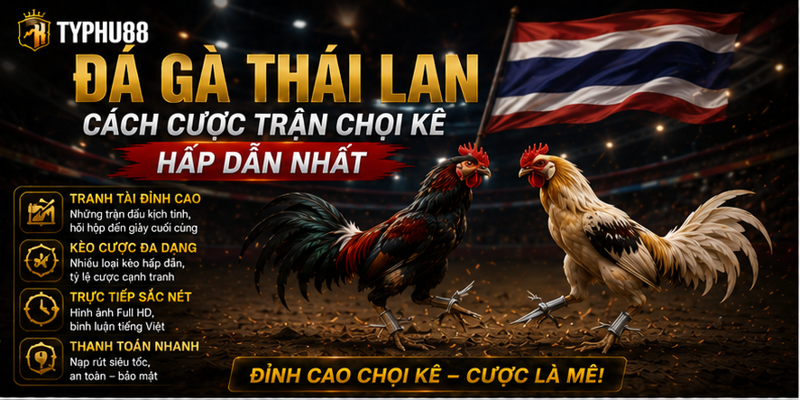 Đá Gà Thái Lan - Cách Cược Trận Chọi Kê Hấp Dẫn Nhất