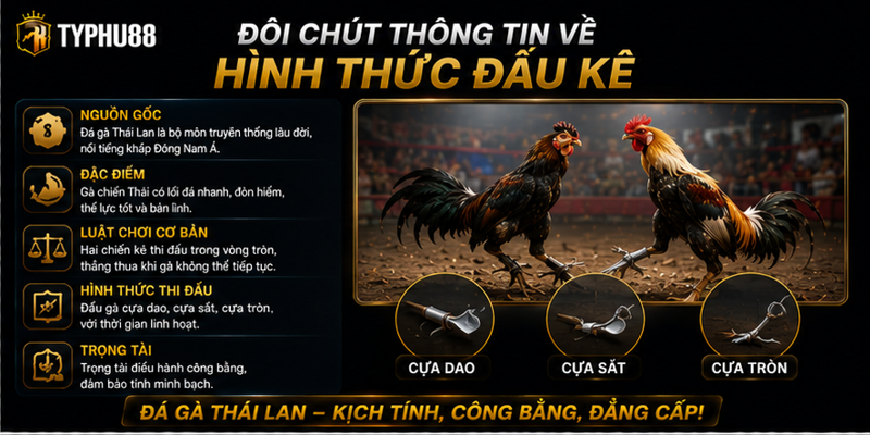 Đôi chút thông tin về hình thức đấu kê Đôi chút thông tin về hình thức đấu kê