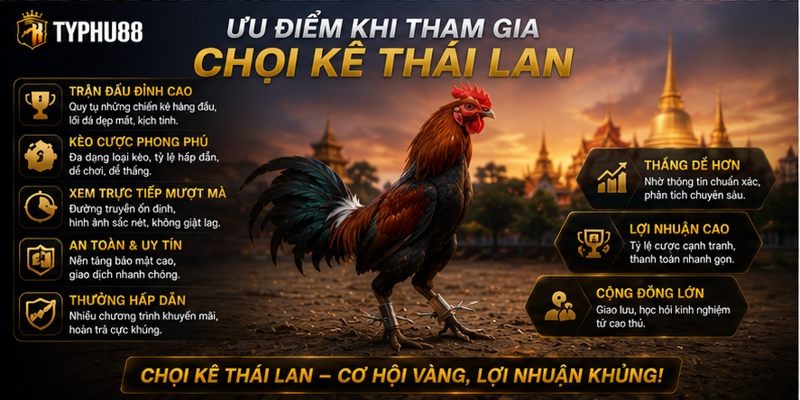Ưu điểm khi tham gia chọi kê Thái Lan Ưu điểm khi tham gia chọi kê Thái Lan