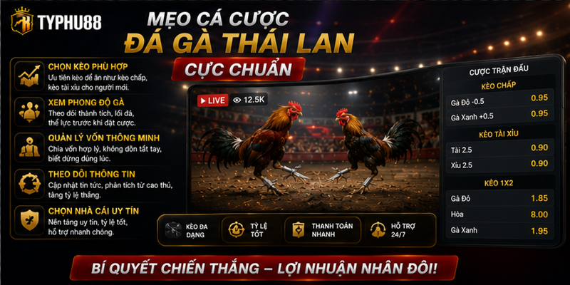 Mẹo cá cược đá gà Thái Lan cực chuẩn Mẹo cá cược đá gà Thái Lan cực chuẩn