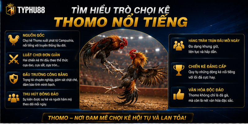 Tìm hiểu trò chọi kê Thomo nổi tiếng Tìm hiểu trò chọi kê Thomo nổi tiếng