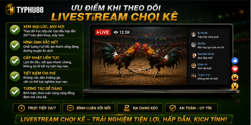 Ưu điểm khi theo dõi livestream chọi kê Ưu điểm khi theo dõi livestream chọi kê
