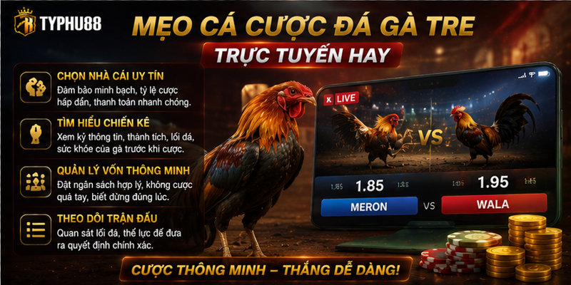 Mẹo cá cược đá gà tre trực tuyến hay Mẹo cá cược đá gà tre trực tuyến hay
