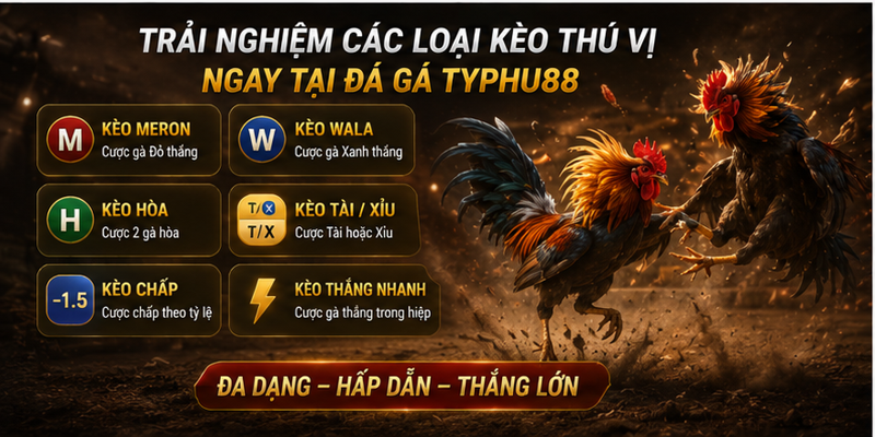 Trải nghiệm các loại kèo thú vị ngay tại đá gà Typhu88 Trải nghiệm các loại kèo thú vị ngay tại đá gà Typhu88
