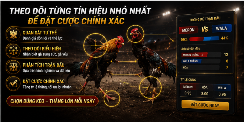 Theo dõi từng tín hiệu nhỏ nhất để đặt cược chính xác Theo dõi từng tín hiệu nhỏ nhất để đặt cược chính xác