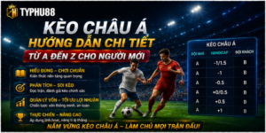 Kèo Châu Á - Hướng Dẫn Chi Tiết Từ A Đến Z Cho Người Mới