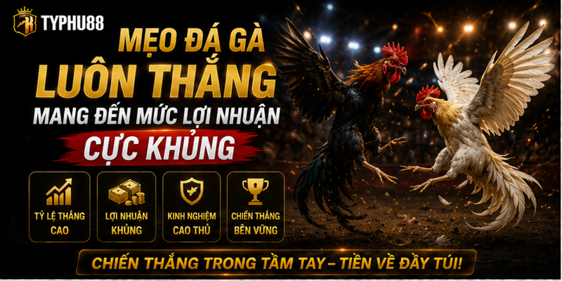 Mẹo Đá Gà Luôn Thắng Mang Đến Mức Lợi Nhuận Cực Khủng 